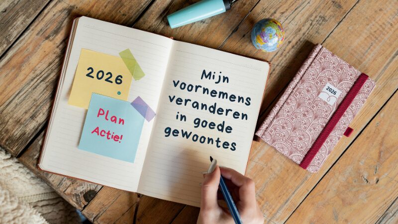 Secretaresses in de zorg - artikel voornemens volhouden - nieuwsbrief - 800x450